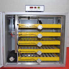 孵化设备 厂家直销 全自动 180-300枚孵化器 鸡鸭鹅孵化机