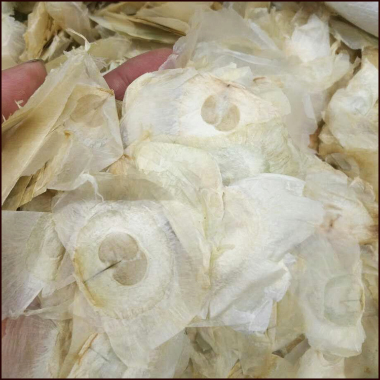 玉蝴蝶 木蝴蝶 千张纸 德誉堂药业批发各种中药材 量大从优玉蝴蝶