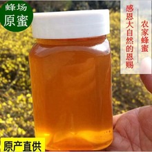 健凤园土蜂蜜批发500g农家蜂场直供百多花野蜂蜜荆条洋槐原蜜1斤