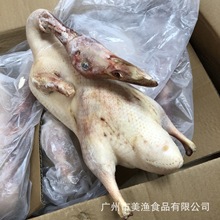 新鲜冷冻填鸭胚烤鸭白切鸭北京烤鸭烧鸭商用3.8-4斤/只（4只/箱）