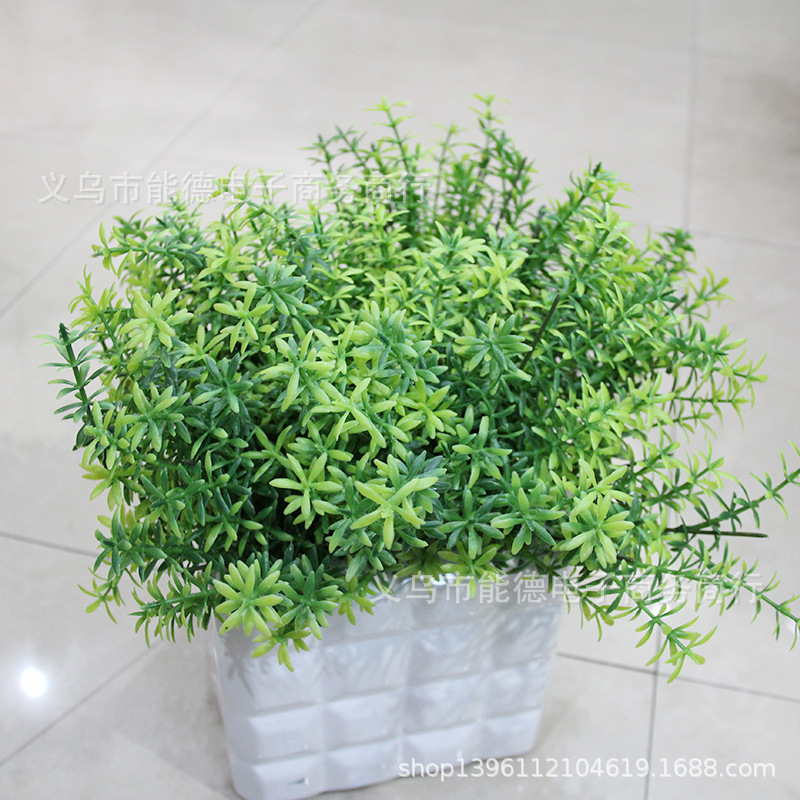 批发水草植物墙配材午时草仿真草珍珠草绿景装饰佛甲草超逼真