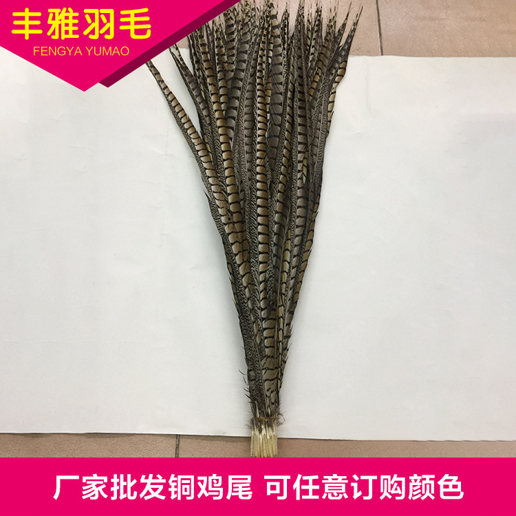 Factory in Stock Supply Copper Chicken Tail Feather Beijing Opera Pheasant Tail Feathers Copper Chicken Side Tail Cover Tail 10-110cm Wild Chicken Feather