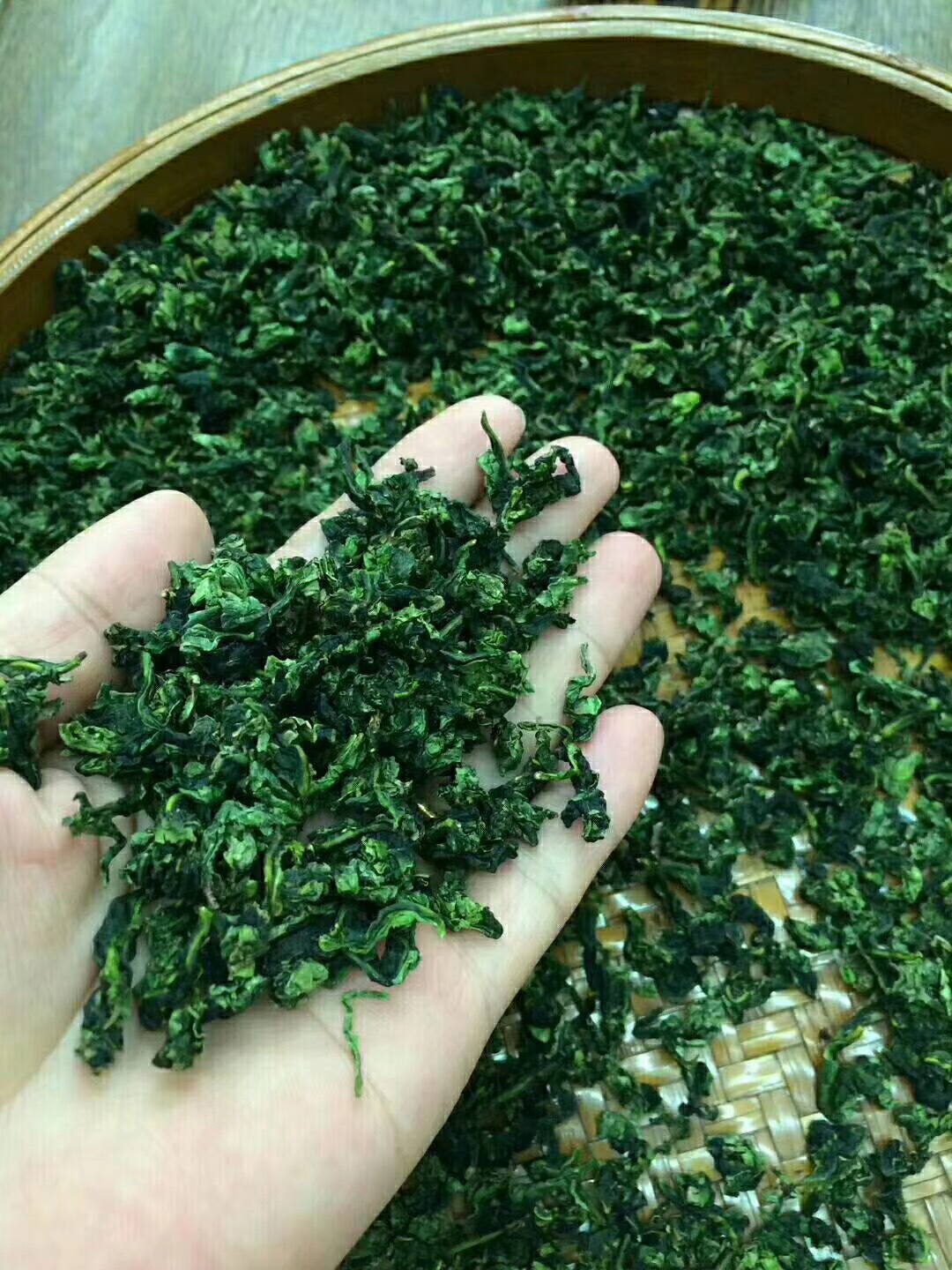 2023年新茶安溪茶叶铁观音 高山乌龙茶浓香型茶叶 原生散装态批发