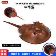 儿童仿真实心海洋动物世界模型中华鲎马蹄蟹美洲鲎鱼模型玩具摆件