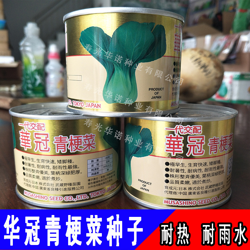 华冠青梗菜种子束腰矮脚油菜小奶白菜籽上海青四季小青菜种籽