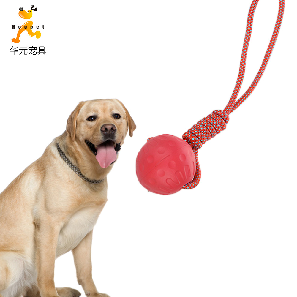 狗狗玩具弹力球宠物互动拉力训练玩具耐咬绳结咬不烂训犬巡回球