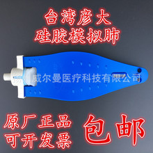 夹板模拟肺人工测试肺台湾彦大硅胶模拟肺可重复使用麻醉机配件
