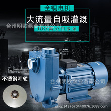 万民DBZ系列卧式自吸离心泵直联式自吸泵大流量高扬程清水泵