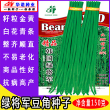 精品韩国绿将军豆角种子 长豇豆种子 四季豆籽蔬菜种子 原装150克