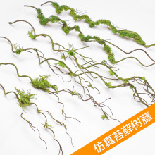 仿真绿植墙植物弯曲造型背景墙造景装饰苔藓枯树藤青苔树枝