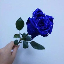 【蓝色妖姬】云南彩悦鲜花 基地直供批发 蓝色玫瑰花束插花装饰