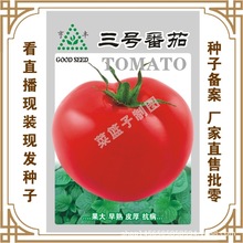 冯子龙种苗公司直售批零种植蔬菜种子3号番茄 种植  盆栽种植