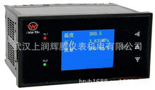 供应WP-LQS80302AAGNHL 智能热能积算控制仪 液晶显示流量积算仪