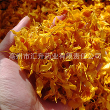 云南新货仿野生鼓槌石斛花供应大货天籽兰石斛花花草茶中药材500g