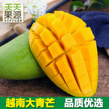 产地货源供应越南大青芒5斤装整箱大金煌芒果当季水果一件代发