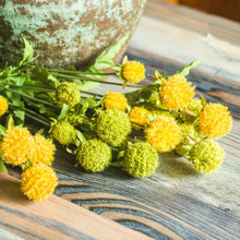 松绒球 植物客厅装饰摆放花卉假花束绿植插花室内花艺