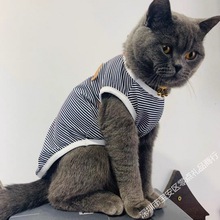 无毛猫衣服宠物猫咪防掉毛薄款春夏季无袖装条纹可爱英短小狗用品