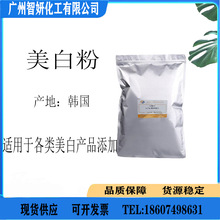 韩国 L-WHITE 美白粉 植物美bai素 护肤面膜原料 美白 保湿100克