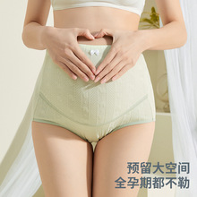 孕妇内裤纯棉孕期怀孕孕中期孕晚期高腰托腹大码可调节裤头新款