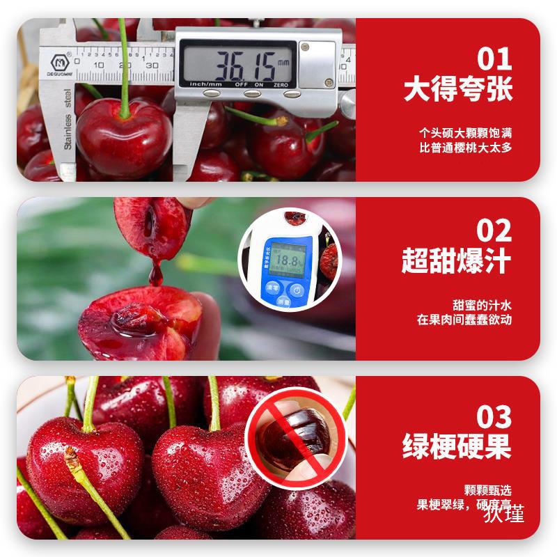 顺丰空运 5j大连美早大樱桃新鲜水果包邮国产5斤车厘子高端礼盒