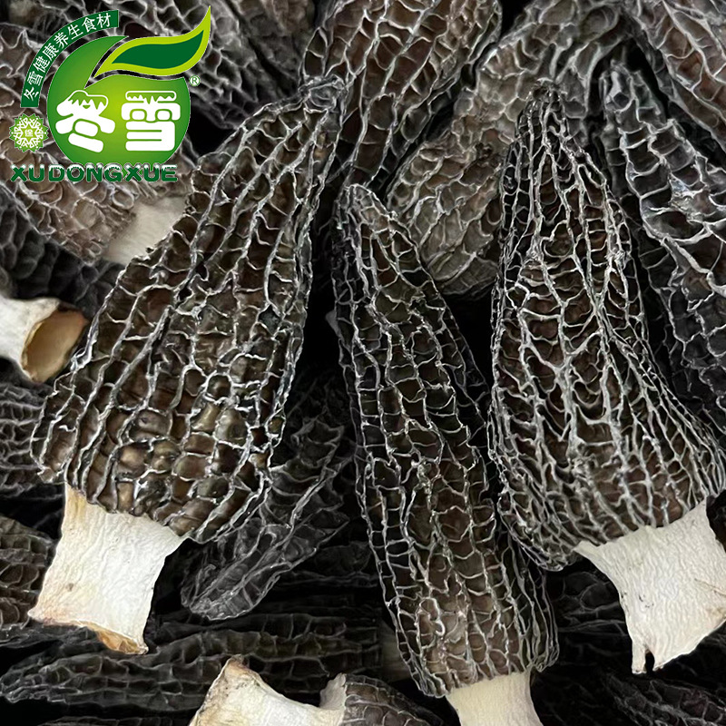 【精品六妹剪柄羊肚菌】直批食用菌食材一件代发淘宝货源诚招代理