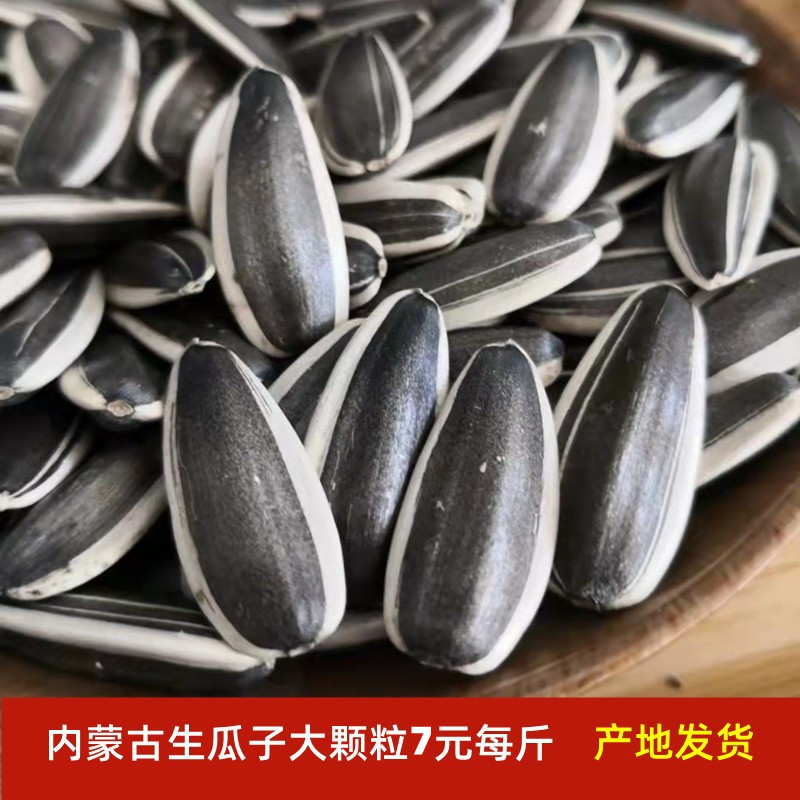 新货生瓜子 内蒙古生葵花籽新货大颗粒原味葵花子新鲜散装-阿里巴巴