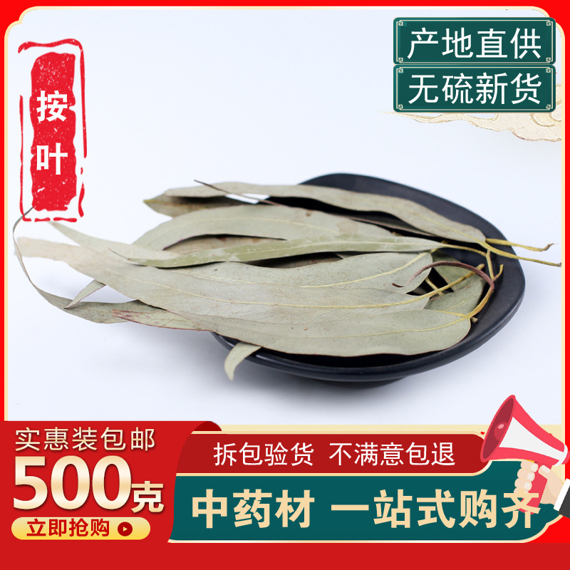 桉树叶500g中草药小桉树大叶中药材按树叶子干尤加利树叶桉叶安叶