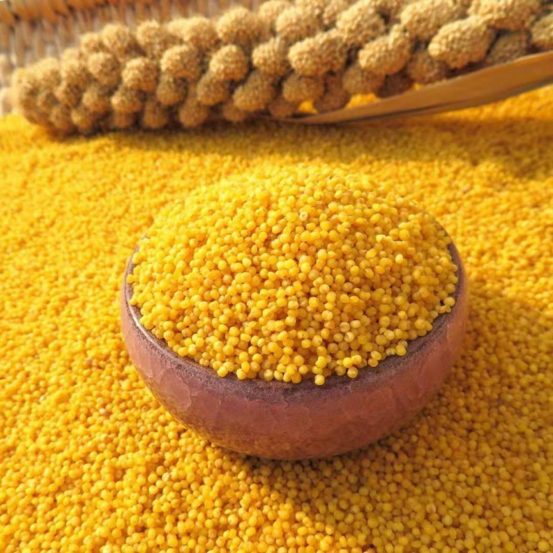 山西沁州黄小米米新米老人儿童小米黄小米粥原产地长治真空装