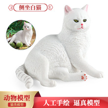 儿童科教认知仿真动物模型侧坐白猫实心家猫咪礼品可爱摆件礼物