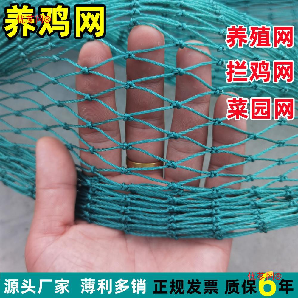 养鸡网尼龙网围栏网菜园网塑料网山鸡网鸡网塑料网户外
