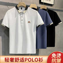 丰宇夏季新款男士polo衫短袖t恤休闲潮流珠地棉翻领潮牌logo设计