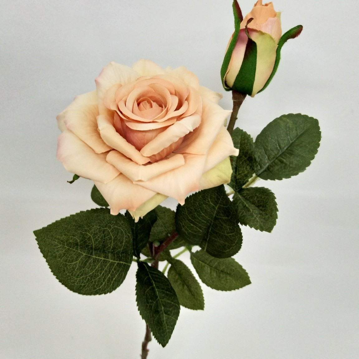 2头秋色卷边玫瑰角玫瑰婚庆拍照装饰布景家居配饰仿真花假花绢花