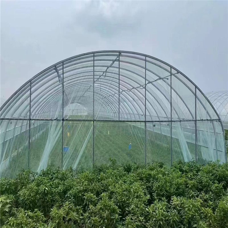 单体温室拱形棚农业温室大棚花卉市场温室大棚建造温室大棚厂