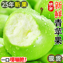 陕西青苹果10斤水果新鲜应当季丑萍果整箱红孕妇冰糖心富士5包邮1