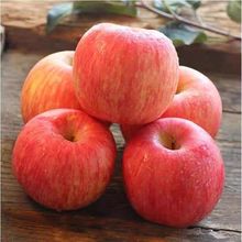 超脆甜应季冰糖心红富士丑苹果批发价新鲜水果类当季整箱