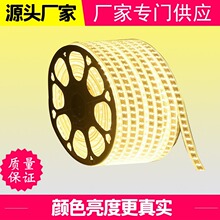 厂家批发5730双排灯带    超亮led2835灯带客厅高压防水灯条120珠