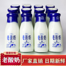 低脂老酸奶玻璃瓶整箱特价老牌子原味发酵乳酸菌奶学生营养早餐