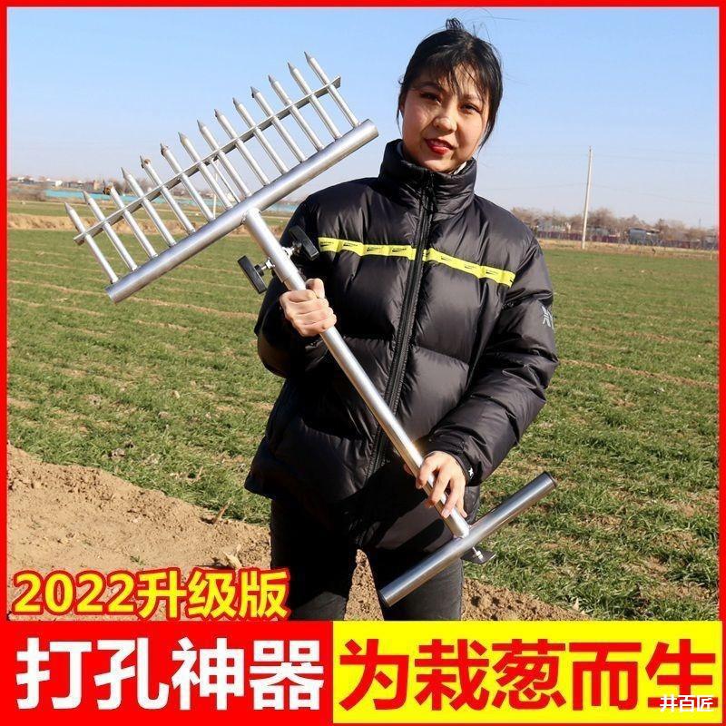 栽葱种葱叉子大葱移栽机器洋葱插葱工具打洞眼农用种菜打孔器