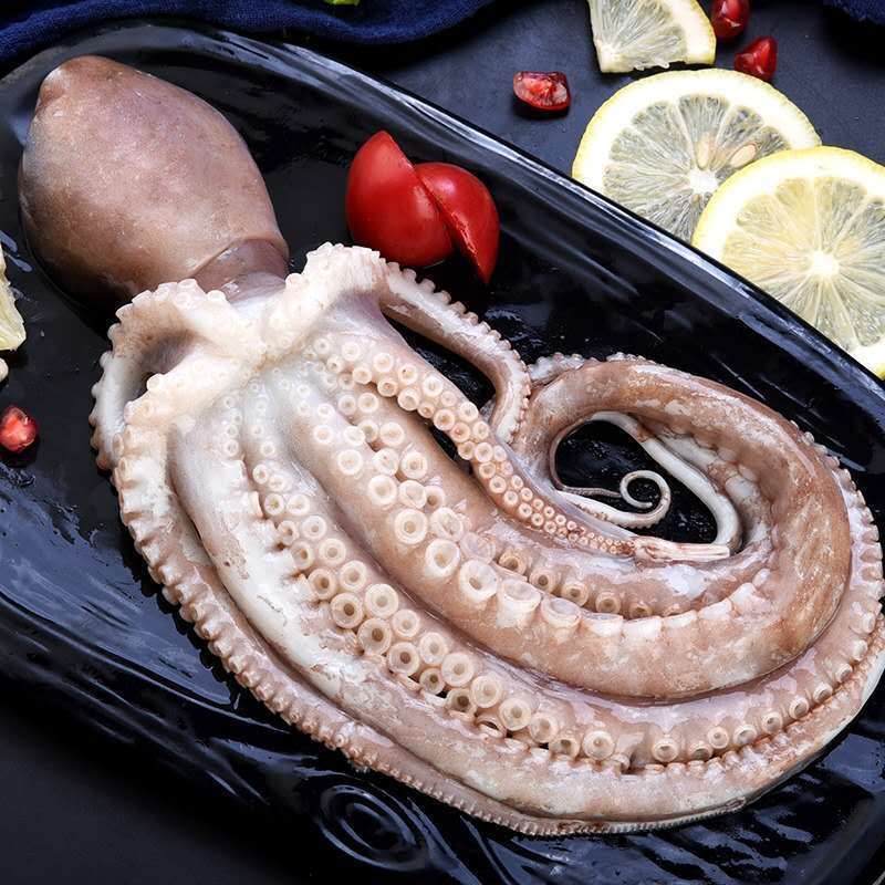 网红爆头大长腿八爪鱼新鲜鲜活大长腿八爪鱼野生海捕大长腿八爪鱼