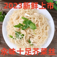 安徽临泉特产手工芥菜丝榨菜大头菜疙瘩菜咸菜下饭菜花生味汆味