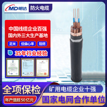 明达定制DJVPV22电缆 铜芯分总屏蔽信号线缆阻燃铠装计算机线缆