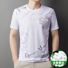 印花套头短袖T恤男2024夏季新款韩版薄款透气宽松显瘦圆领上衣潮