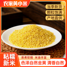 新黄小米5斤小米粥食用小米农家食吃小黄米月子米出米油五谷杂粮