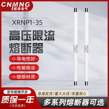 XRNP1-35/0.5A互感器保护用高压熔断器XRNP1-40.5KV/0.5A25*465MM