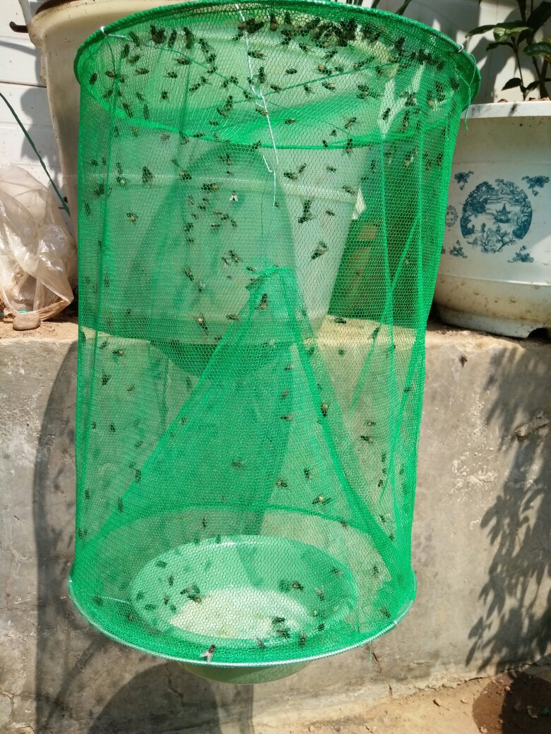 绿色款苍蝇笼捕蝇器环保捕蝇笼灭蝇器蝇子笼灭苍蝇笼捕苍蝇工具