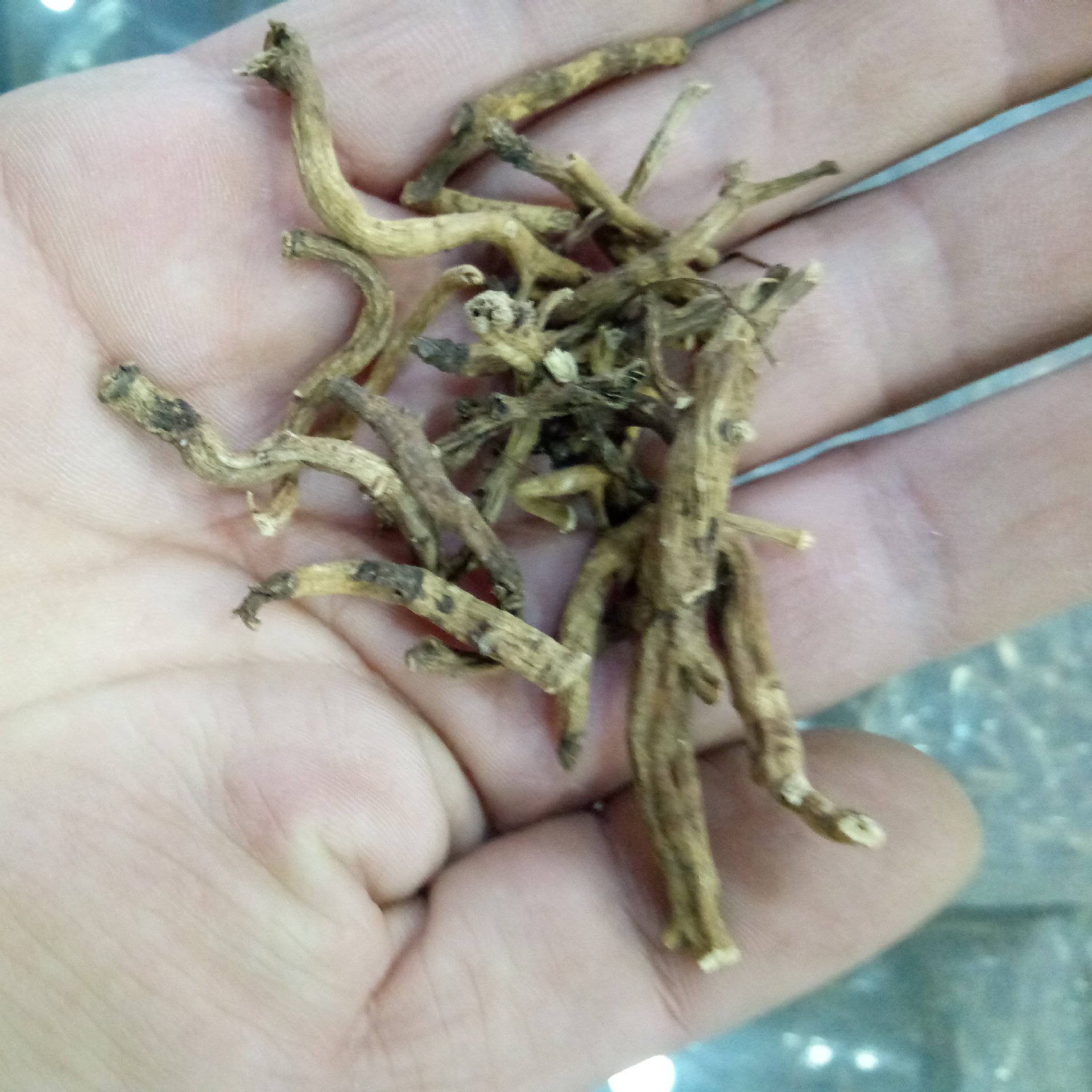 1千克新货晒干批发冷备倒提壶根干品蓝布裙狗屎花狗屎萝卜根-阿里巴巴