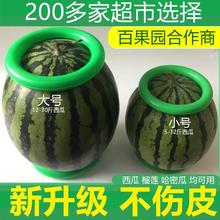 西瓜固定圈足球固定器底座投掷摆摊水果店垫圈陈列塑料圈摆放儿童