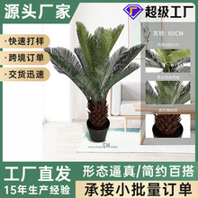 仿真大型苏铁树 植物盆栽假铁树 厂家批发绿植装饰仿生工艺苏铁树