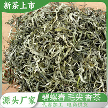 1-2025春茶绿茶毛尖碧螺春白毛尖500g龙井翠芽松针雀舌奶茶原料加