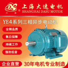 大速电机直销YE4电动机低噪音三相异步电动机 工业电机可定自